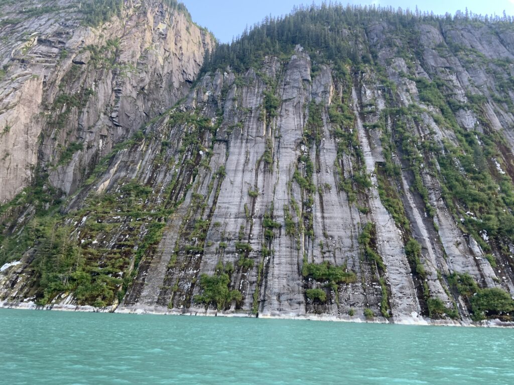 Tracy Arm Cliffs 1